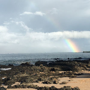 Meet your Posher, Nora